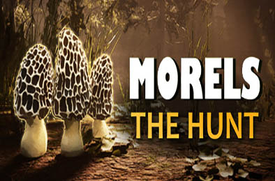 羊肚菌：狩猎 / Morels: The Hunt