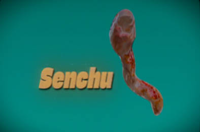 线虫 / Senchu v1.0.0